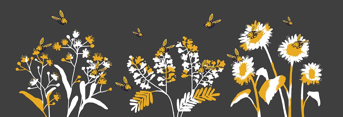 Allbee blog ianuarie 2 stup borcan 4