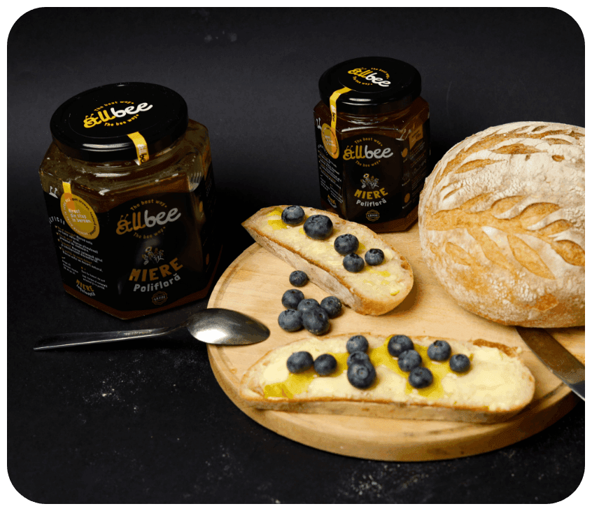 Allbee Imagine Retete