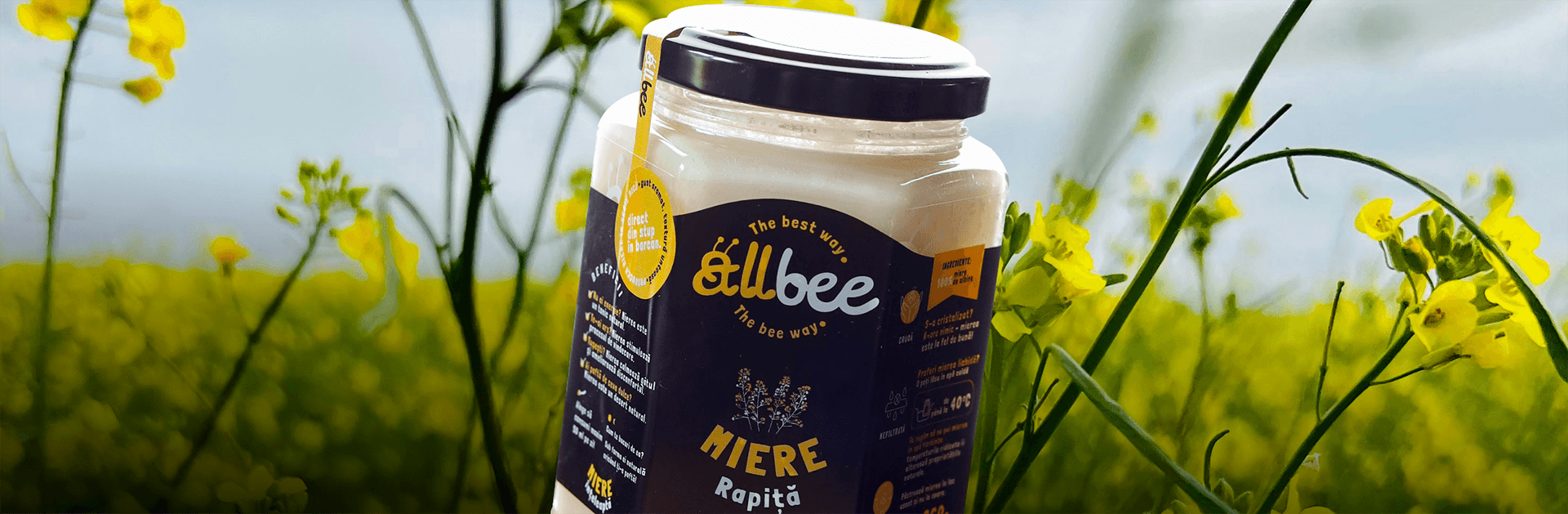 Allbee beneficii miere rapita 1